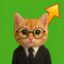 Purrps icon