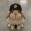 Rewards Rabbit icon