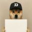 ADOG icon