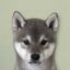 what's his name? icon
