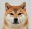 inu icon