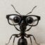 quANT icon
