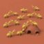 Ant Colony icon