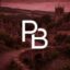 Project Britannia icon