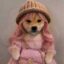 wife icon