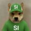 Stable Inu icon