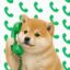 callinu icon