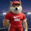 Sports Inu icon