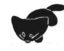 🐈 Acceleration icon