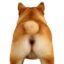 Open Inu icon