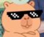 Capybara Currency icon