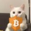 Shielded Cat icon