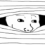 pedojak icon
