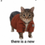 catcycle icon