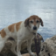 BEN icon