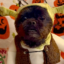 shrekinu icon