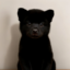 bob icon
