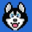 HOSKY icon
