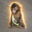 ナッツくん icon