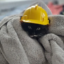 Butternut icon