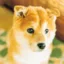 ムサシ icon