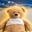 Justice for Hope Bear icon