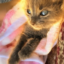Delilah icon
