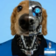Sparky icon
