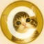 Chiichi Coin icon