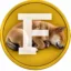 Flokicoin icon