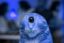 Sneeb icon