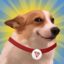 Sundog icon