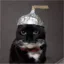 The Tinfoil Cat icon