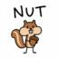 nut icon