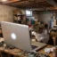 Basement Cat icon