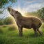The Tapir icon