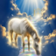 Justice for Lacy icon