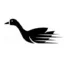 Goose icon
