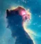 Space Cat icon