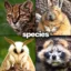 new species found icon