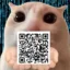 QRCAT icon