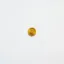 .coin icon