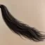 Just Tail icon