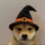 wifween icon