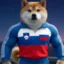 Slovenianinu.si icon