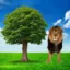 Tree + lion icon