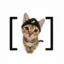 bracat icon
