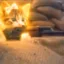trenchcat icon