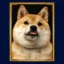 Unofficial Inu icon