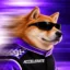 Accelerate Inu icon